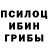 Псилоцибиновые грибы Magic Shrooms hzSCHYRYP