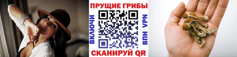 Галлюциногенные грибы MAGIC MUSHROOMS  Купить где  Высоцк 